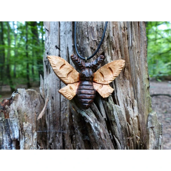 Królowa Nocy / Queen of the Night